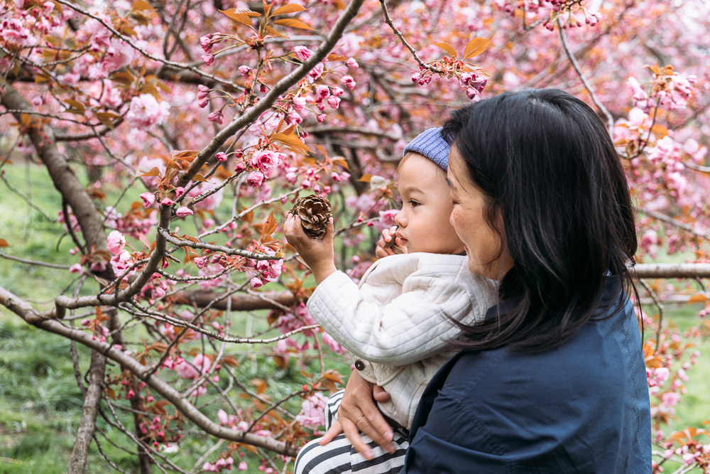 Mom holding son while smiling at cherry blossoms in Westchester NY